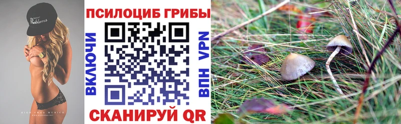 Псилоцибиновые грибы Cubensis  нарко площадка телеграм  Энгельс 
