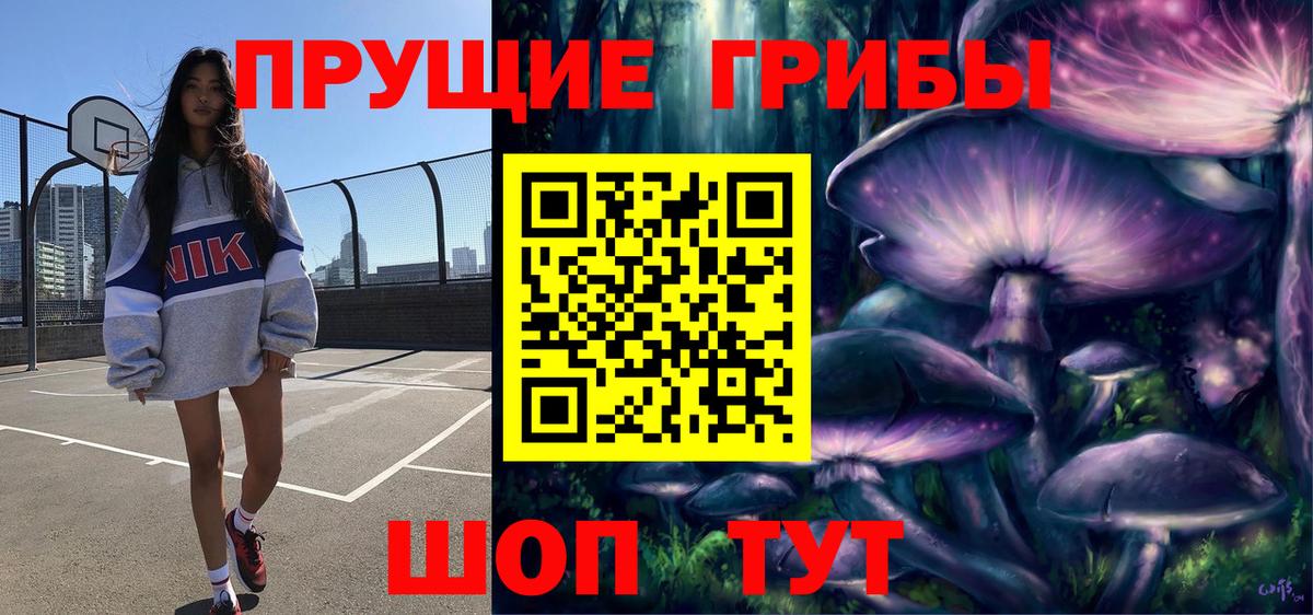 Энгельс  Галлюциногенные грибы Psilocybine cubensis  Вход с VPN 