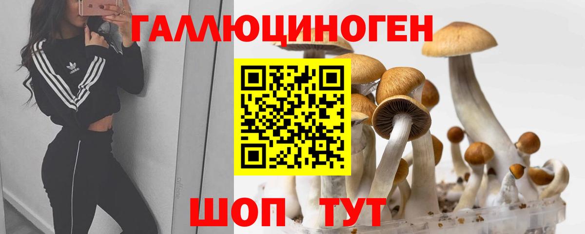 Псилоцибиновые грибы Magic Shrooms Энгельс