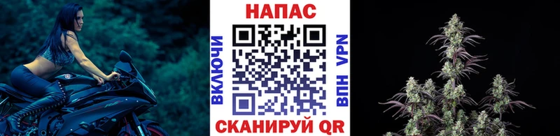Шишки марихуана AK-47 что такое Энгельс